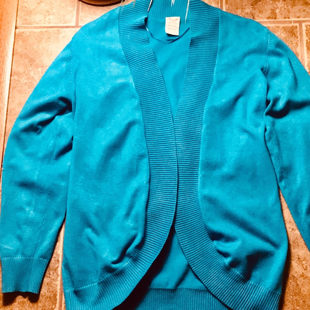 COPY - Faded Glory teal long sleeve sweater (M)